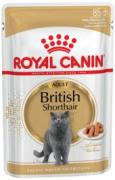 Royal Canin British Shorthair в соусі