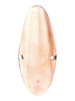 Trixie панцир каракатиці з тримачем