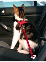 Trixie Шлея безпеки в автомобіль