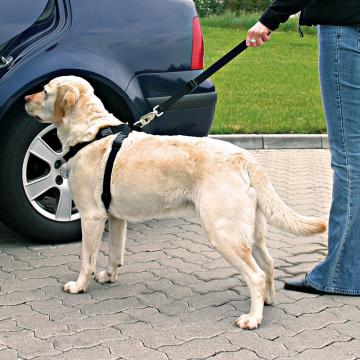 Изображение 2 - Trixie Шлея безпеки в авто для собаки
