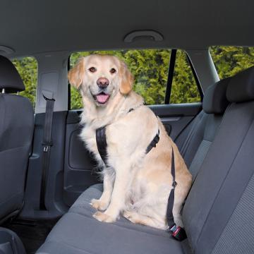 Изображение 1 - Trixie Шлея безпеки в авто для собаки