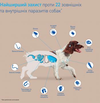 Изображение 3 - Некс Гард Spectra Таблетки для собак вагою від 30 до 60 кг