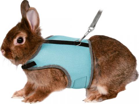 Изображение 1 - Trixie Шлейка-жилетка для міні кроликів
