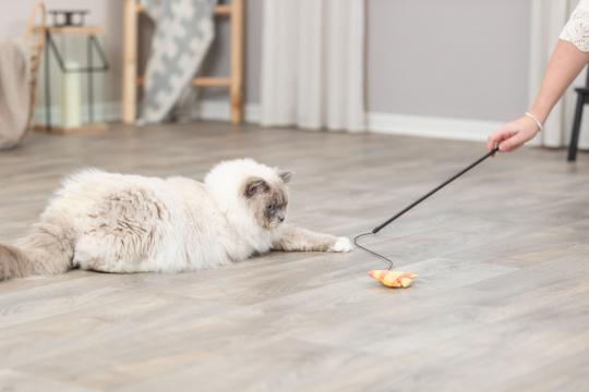 Изображение 4 - Trixie Playing Rod with Fish Вудка з рибкою