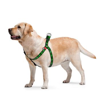 Изображение 2 - Collar WauDog Nylon Шотландка Зелена нейлонова шлея