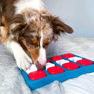 Изображение 2 - Petstages Nina Ottosson Dog Brick інтерактивна-іграшка