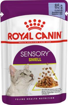 Изображение 1 - Royal Canin Sensory Smell Chunks в желе