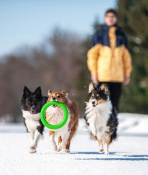 Изображение 3 - Pitchdog Кільце для Собак