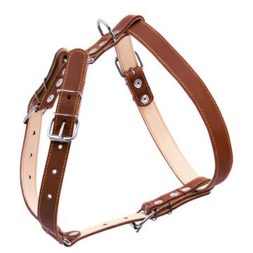 Изображение 1 - Collar Шлея подвійна зі шкіри