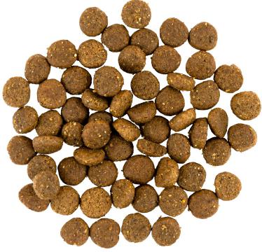 Изображение 2 - Savory Puppy Fresh Turkey and Chicken