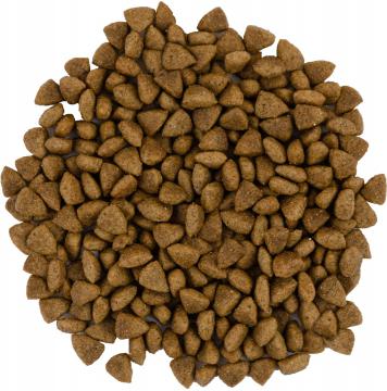 Изображение 2 - Savory Adult Cat Sensitive Digestion Lamb and Turkey