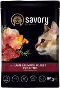 Savory Kitten Lamb and Pumpkin in Jelly