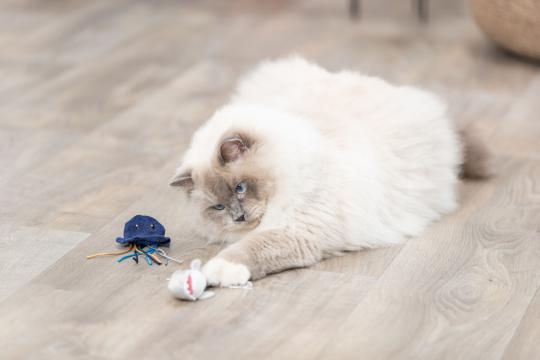 Изображение 3 - Trixie Marine Animals Іграшка для кота