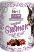 Brit Care Cat Superfruits Ласощі з лососем