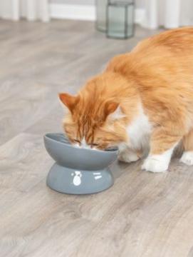 Изображение 3 - Trixie Ceramic Bowl XXL Керамічна миска XXL