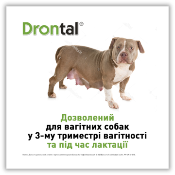 Изображение 5 - Bayer Дронтал плюс для собак зі смаком м'яса