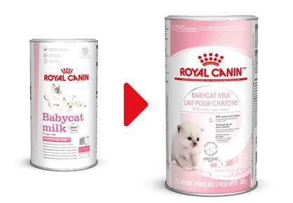 Изображение 2 - Royal Canin Babycat Milk