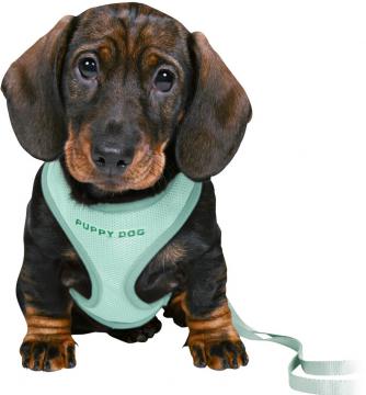 Изображение 1 - Trixie Puppy Soft Harness Шлейка з повідцем М'ятна