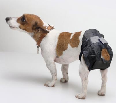 Изображение 3 - Savic Comfort Nappy памперси для собак, 12шт