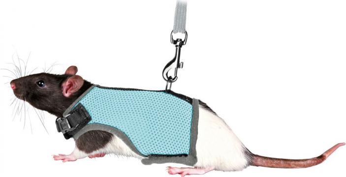 Изображение 1 - Trixie Шлейка-жилетка для щурів