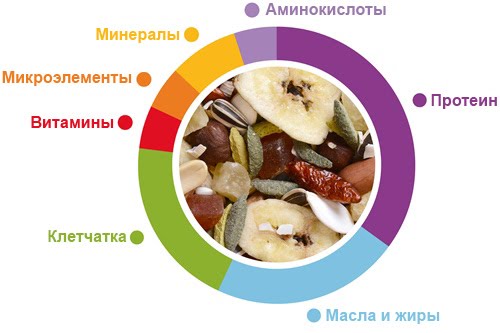 Padovan Wellness Pappagalli