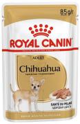 Royal Canin Adult Chihuahua паштет