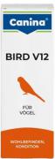 Canina Bird V 12