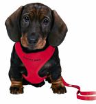 Trixie Puppy Soft Harness Шлейка с поводком Красная
