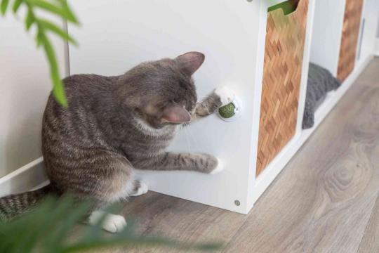 Изображение 2 - Trixie Catnip Ball with Holder