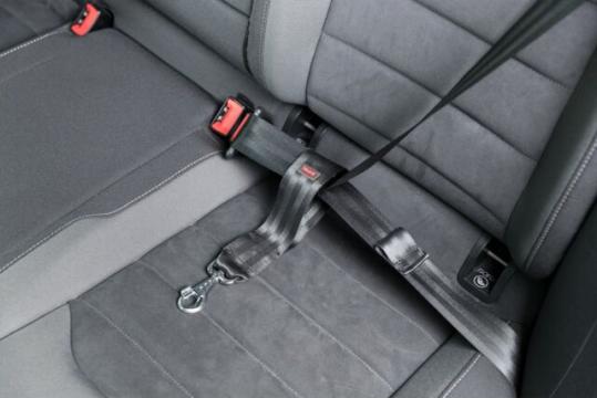 Изображение 2 - Trixie Seatbelt loop Петля для ремня безопасности в авто