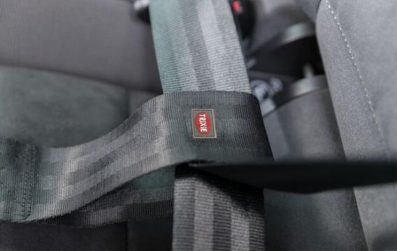 Изображение 3 - Trixie Seatbelt loop Петля для ремня безопасности в авто