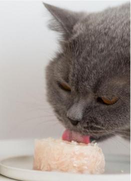 Изображение 2 - GimCat Superfood ShinyCat Duo Консервы тунец с цукини