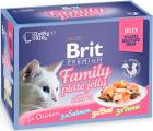 Brit Premium Pouch Family Plate Jelly Кусочки в желе