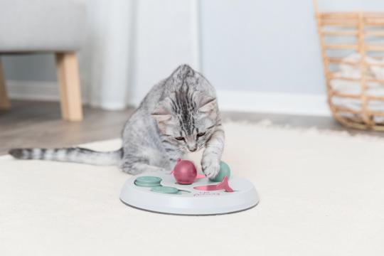 Изображение 2 - Trixie Flip Board Интерактивная игра для котов