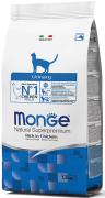 Monge Urinary