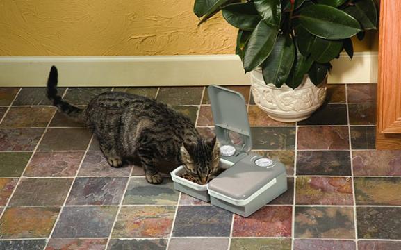 Изображение 4 - PetSafe Eatwell 2 Meal Pet Feader автоматическая кормушка