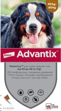 Изображение 1 - Elanco Advantix для собак от 40 до 60 кг