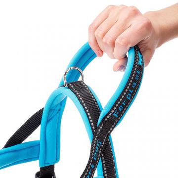 Изображение 2 - Ferplast Sport Dog Blue Шлея нейлоновая