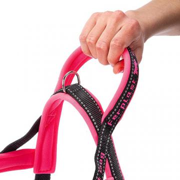 Изображение 2 - Ferplast Sport Dog Pink Шлея нейлоновая