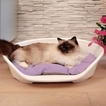 Изображение 2 - Ferplast Siesta Deluxe White Место для собак