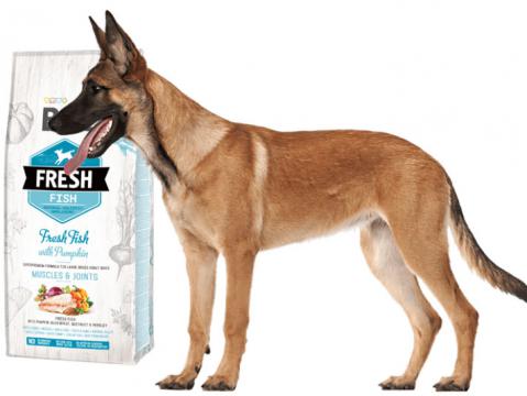 Изображение 2 - Brit Fresh Adult Large Breed Fish & Pumpkin