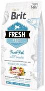 Brit Fresh Adult Large Breed Fish & Pumpkin