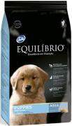 Equilibrio Puppies Large Breeds
