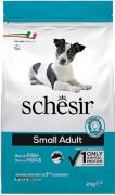 Schesir Small Adult  Fish