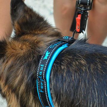 Изображение 4 - Ferplast Sport Dog Matic Blue Поводок с автоматическим карабином