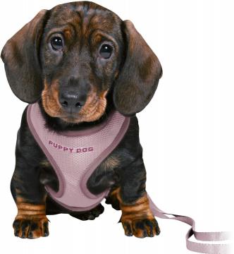 Изображение 1 - Trixie Junior Soft Harness Шлейка с поводком светло-сиреневая