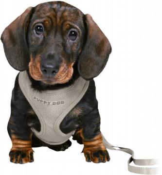 Изображение 1 - Trixie Junior Soft Harness Шлейка с поводком светло-серая