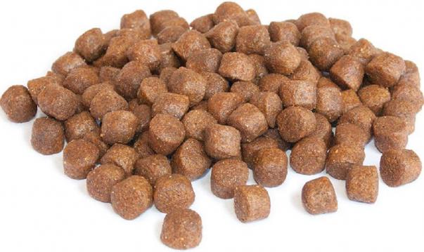 Изображение 2 - BonaCibo Puppy High Energy