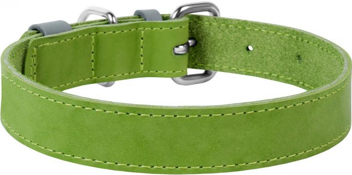 Изображение 2 - Collar WauDog Classic Кожаный ошейник салатовый