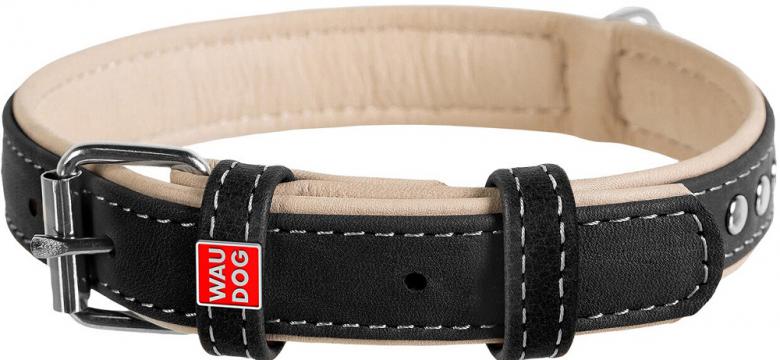 Изображение 2 - Collar WauDog Soft Кожаный ошейник с металлическими украшениями черный